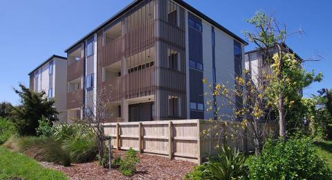 71 - 79 Hendon Ave, Mt Albert